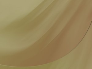 会员营销